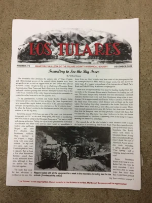 Electronic Copies-book